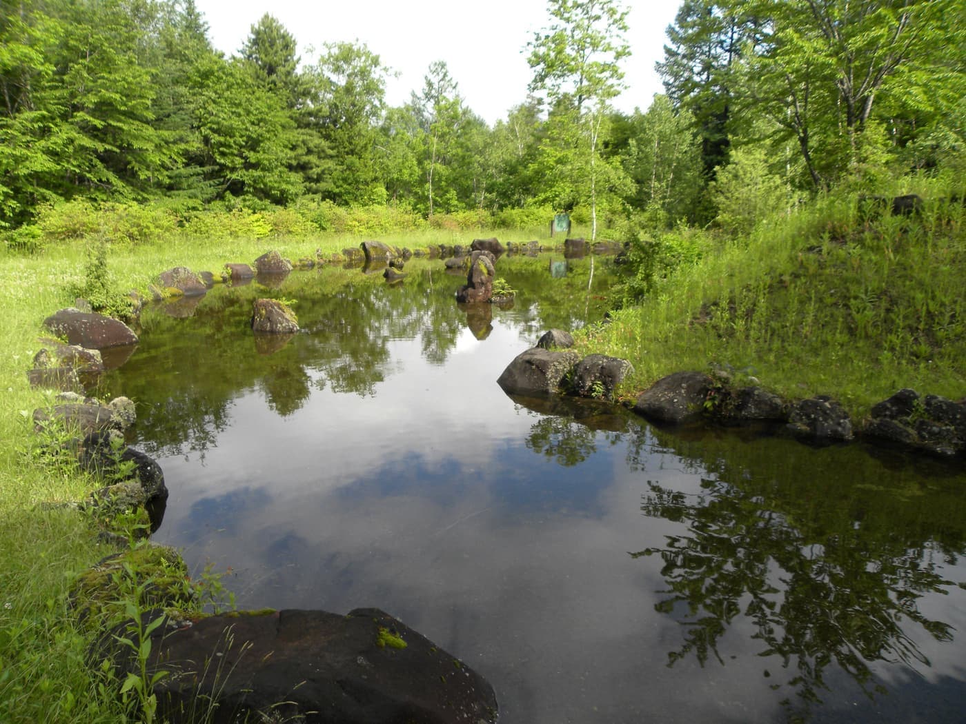 奈川フォレストフィールド