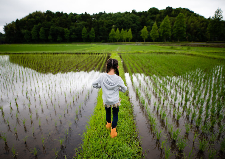 田舎のあぜ道を歩く少女